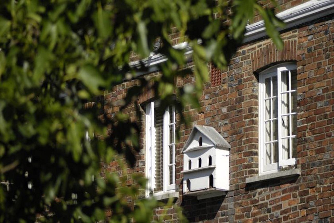 לינה וארוחת בוקר לואיס Pelham House מראה חיצוני תמונה